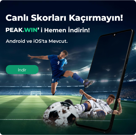 peakwin indir